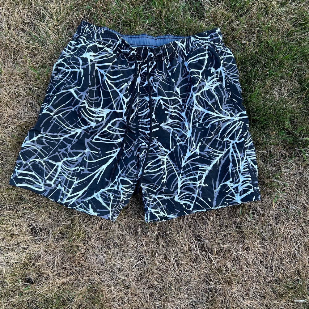 Men’s Black and White Speedo Swim Trunks